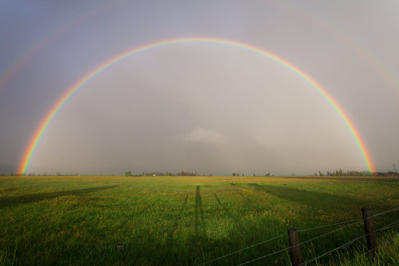 regenboog