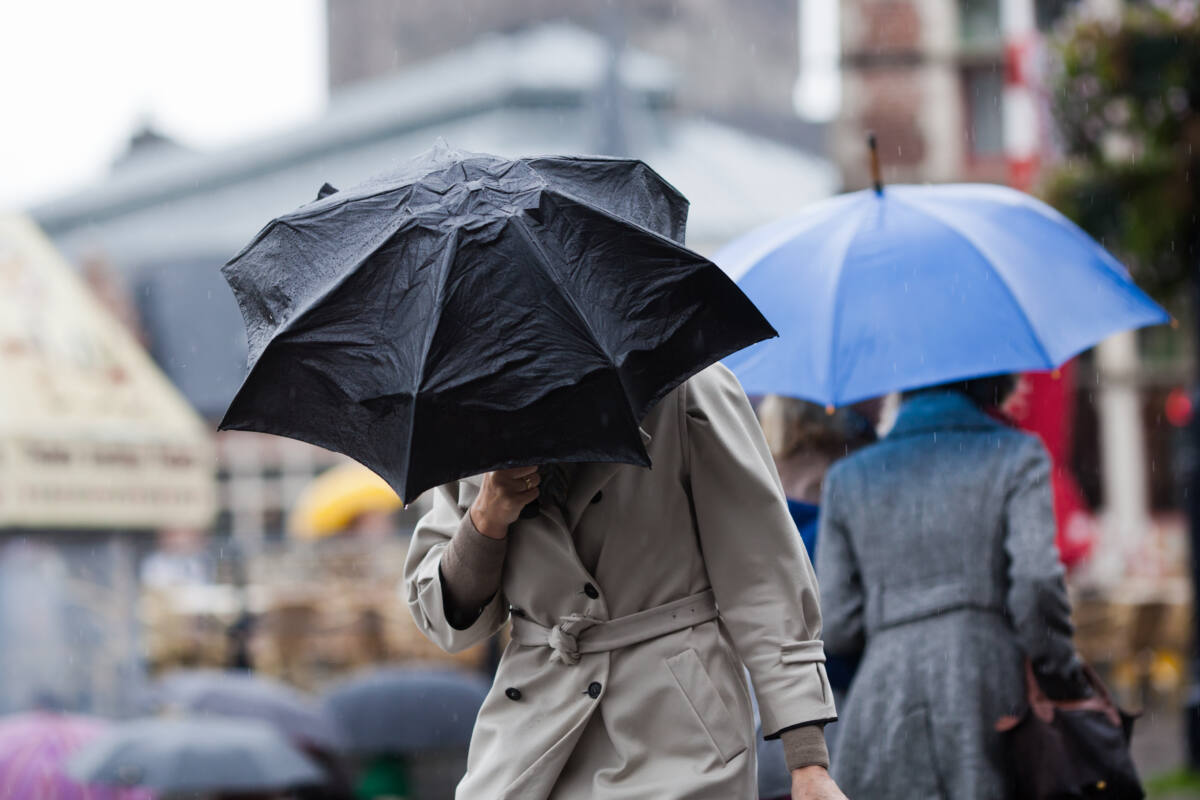 storm, regen, wind, onweer