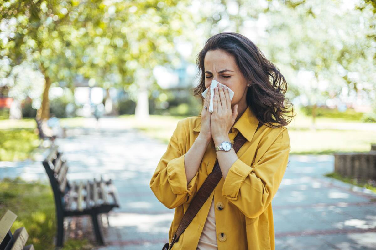 hooikoorts, pollen, snuiten