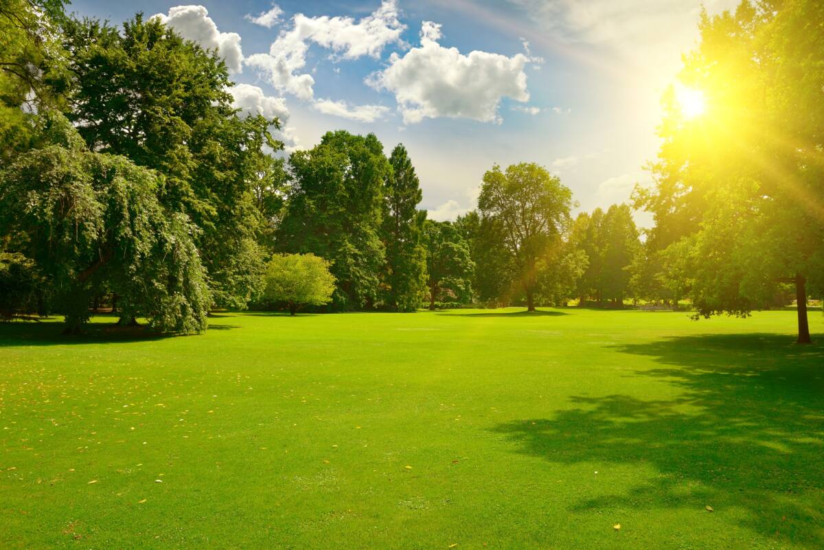 zomer, lente, zon, wolken