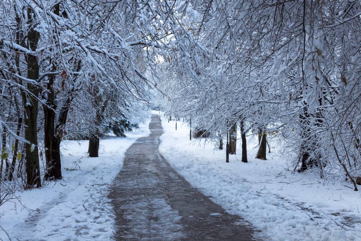 winter, koud, sneeuw