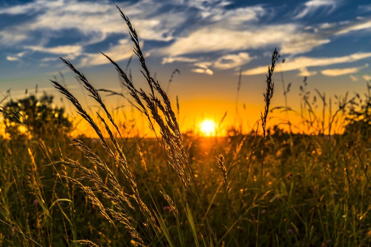 herfstzon, herfst, zon